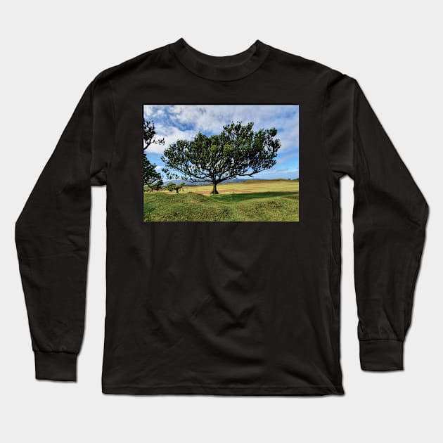 Madeira, motif 1 Long Sleeve T-Shirt by Zamart20